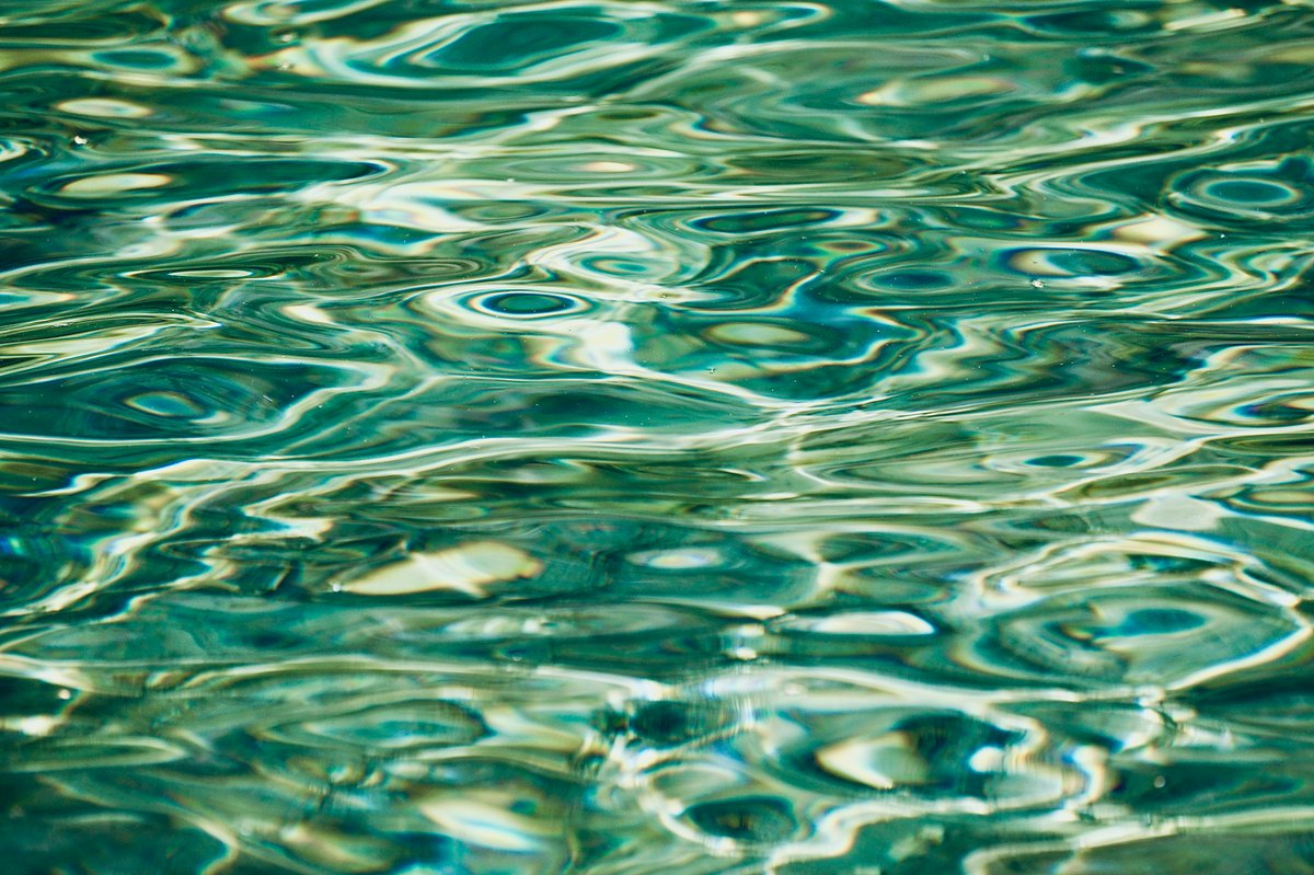Aqua Festival Guadeloupe : dates, programme et infos pratiques 2026