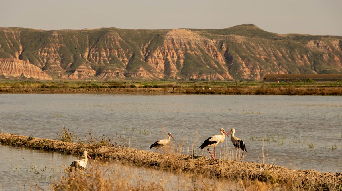 Découvrir la réserve naturelle de Petite Terre avec AWAK