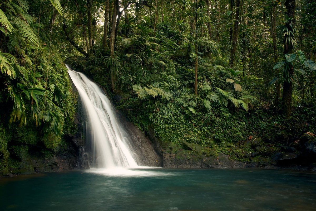Bain des Amours Guadeloupe : accès, caractéristiques et activités à Gourbeyre