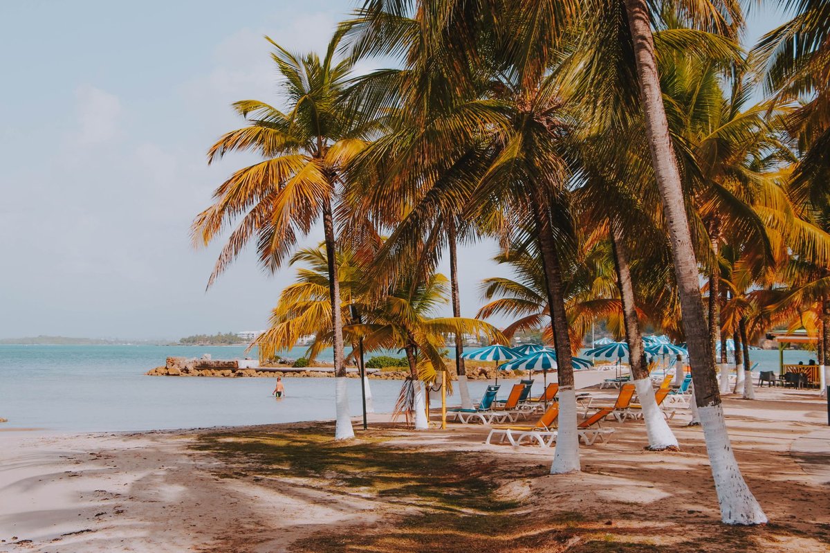 Bus Guadeloupe : Guide complet du réseau, tarifs et itinéraires