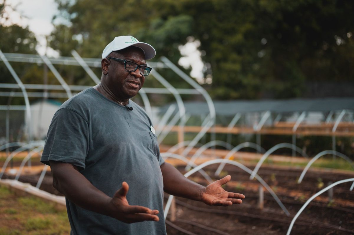 Engagement pour l’agriculture biologique en Guadeloupe