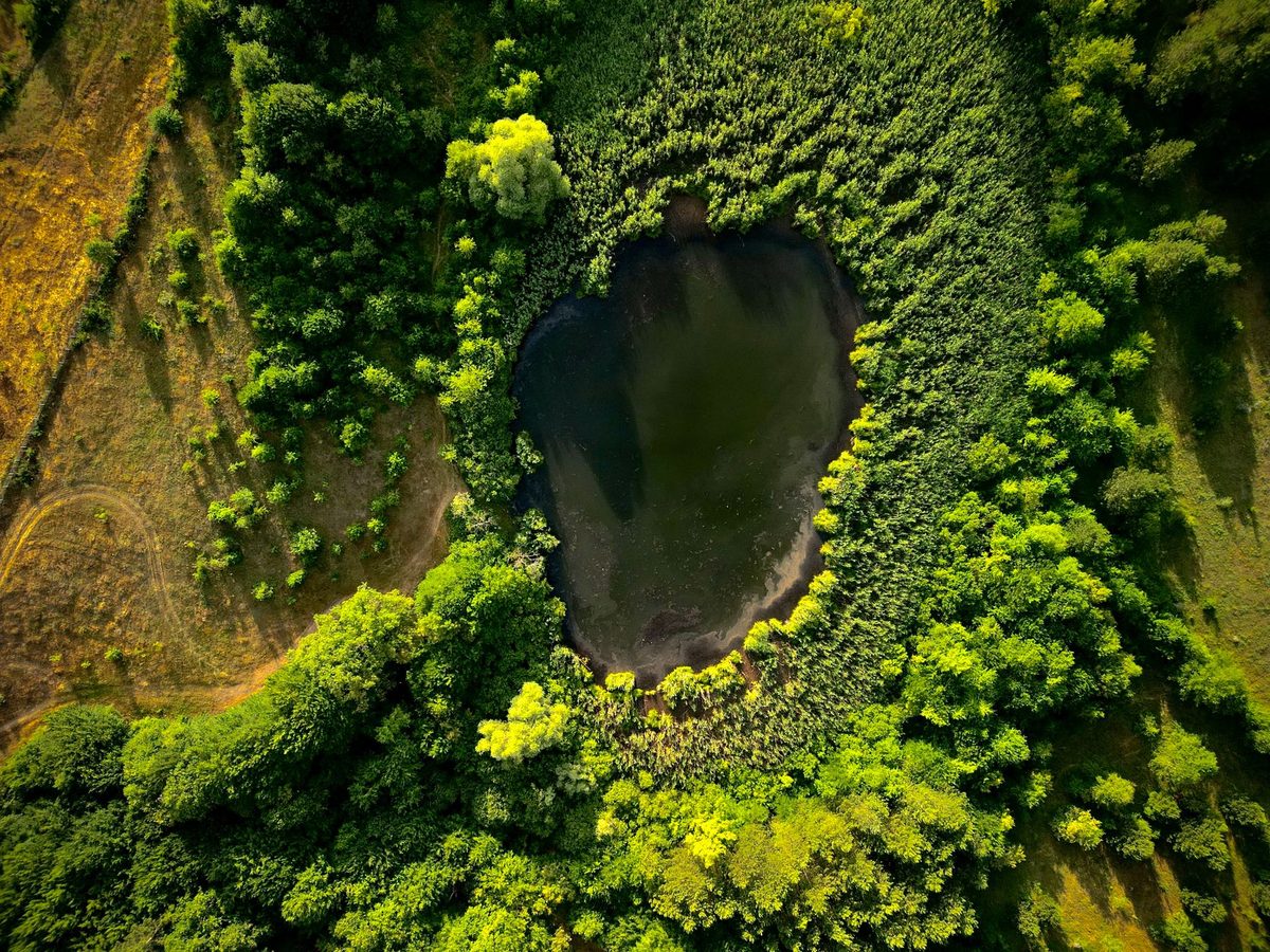 Géographie et environnement naturel