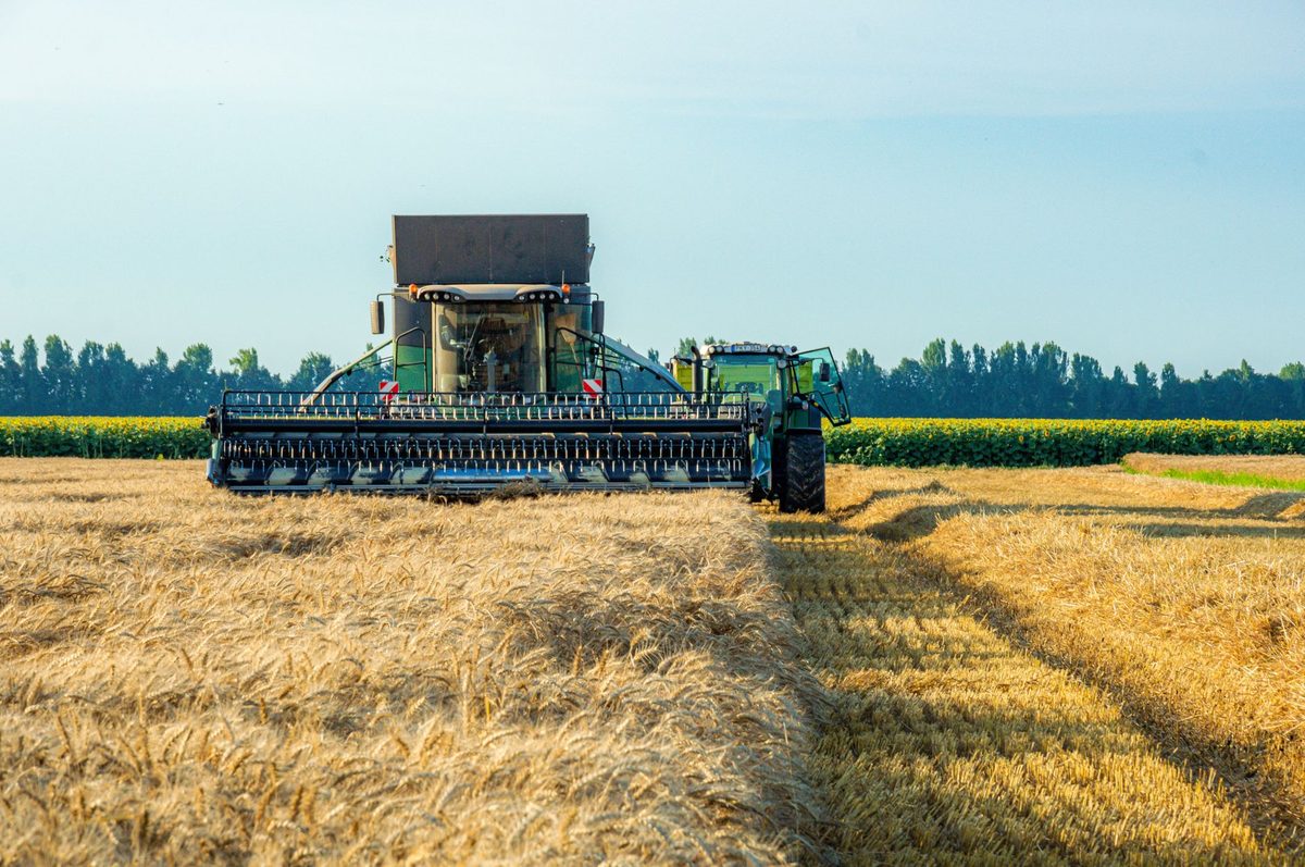 Économie et agriculture du Lamentin