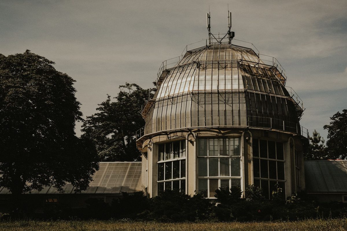 Le Jardin Botanique de Deshaies : héritage de Coluche