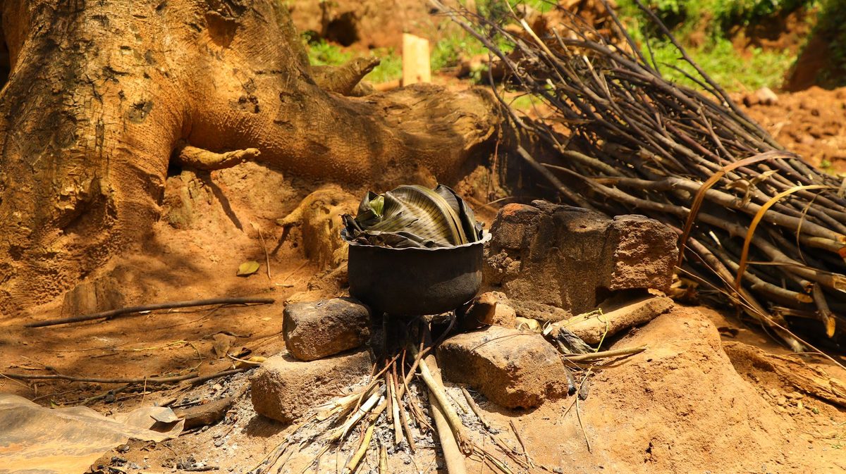 Usages culinaires du paroka en Guadeloupe