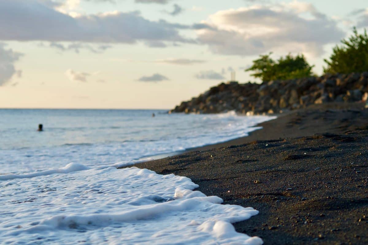 Les meilleurs moments et conditions pour la photo en Guadeloupe